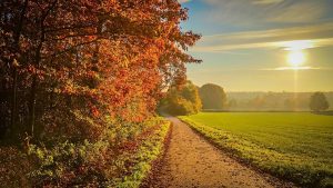 Autumn Sunset