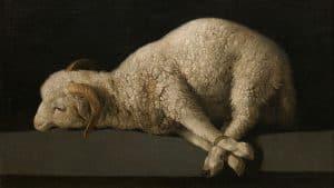 Agnus Dei, by Francisco de Zurbarán