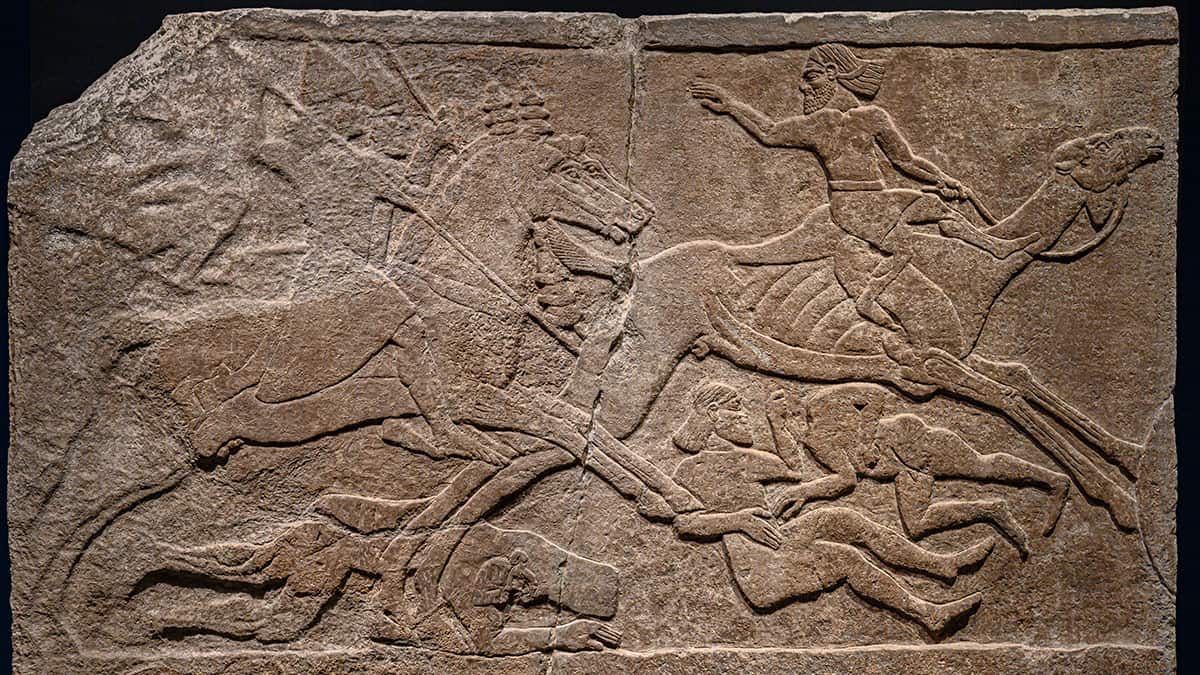 Assyrian Relief depicting Battle with Camel Rider from Kalhu (Nimrud) Central Palace Tiglath-pileser III 728 BCE British Museum. Two Assyrian cavalrymen pursue a bearded man on a camel, likely an Arab, who raises an arm as he appears to slip from the animal's back. The Assyrians drive their spears into the camel's hindquarters. One of the camel rider's companions lies dying beneath the Assyrians' horses while two more fall to the ground. The horses wear tasseled decorations on their heads that are typical of the reign of Tiglath-pileser III.